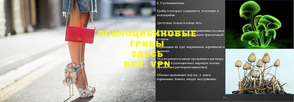 ешки Магас