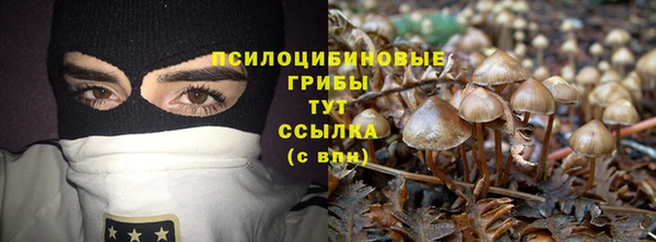 ешки Магас