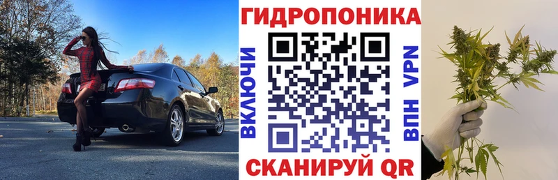 где купить наркоту  Яровое  Шишки марихуана Ganja 